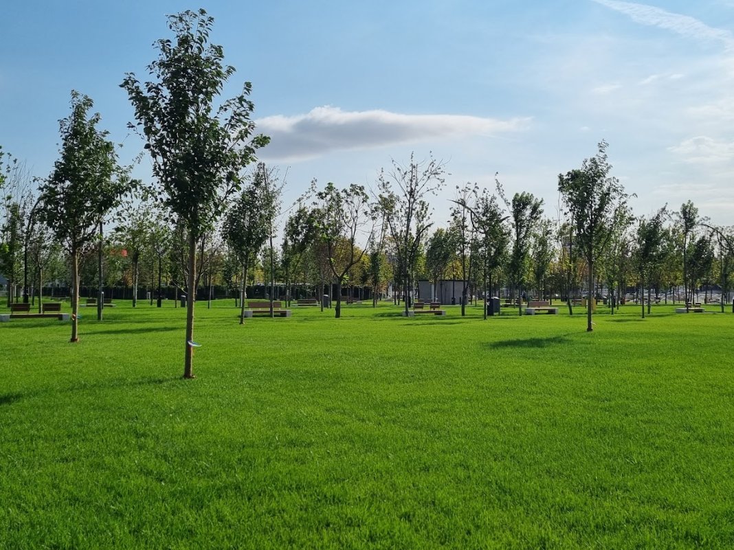 Parcul recent înființat din Sectorul 4 va purta denumirea de „Donald J. Trump”, a declarat Daniel Băluță.