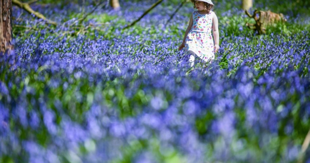 Prognoza vremii pentru următoarele 4 săptămâni: temperaturi mai ridicate decât cele obișnuite pentru această perioadă, conform specialiștilor în meteorologie.