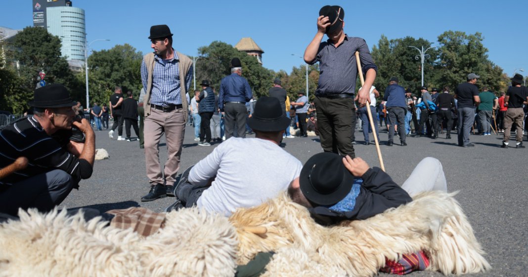 Mii de fermieri de oi manifestă în Capitală, jandarmii folosesc gaze lacrimogene după întâmplarea de la ANSVSA