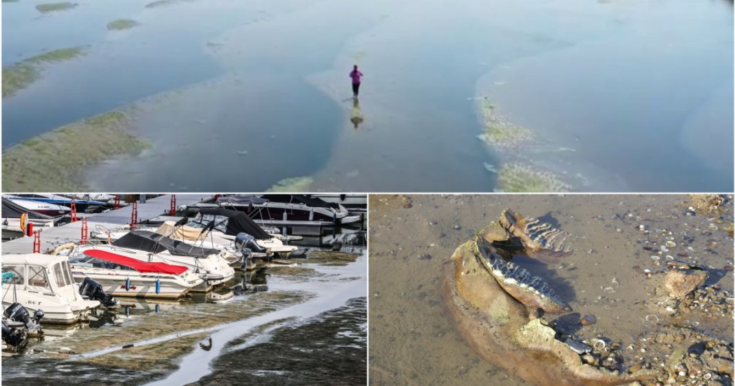 „Puteți să mergeți pe jos în România”: Dunărea și Rinul seacă din cauza căldurii extreme: reactoare închise, nave împiedicate...